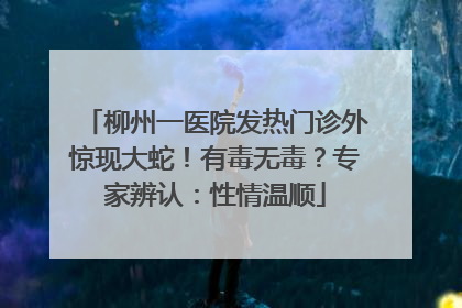 柳州一医院发热门诊外惊现大蛇！有毒无毒？专家辨认：性情温顺