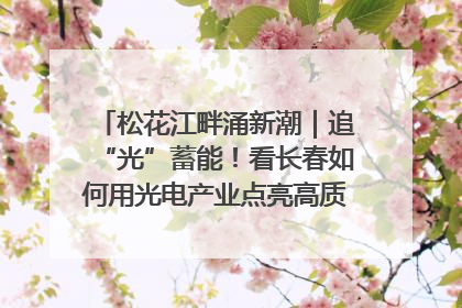 松花江畔涌新潮｜追“光”蓄能！看长春如何用光电产业点亮高质量发展新赛道