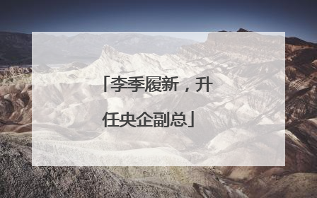 李季履新，升任央企副总