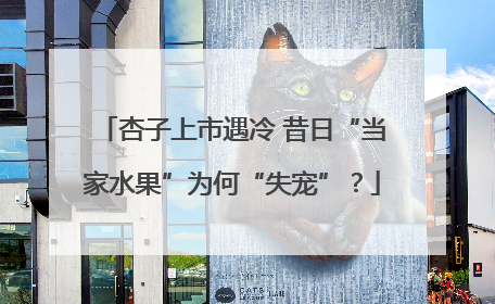 杏子上市遇冷 昔日“当家水果”为何“失宠”？