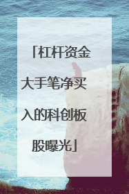 杠杆资金大手笔净买入的科创板股曝光