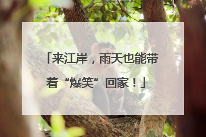 来江岸，雨天也能带着“爆笑”回家！