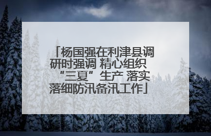 杨国强在利津县调研时强调 精心组织“三夏”生产 落实落细防汛备汛工作