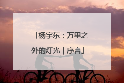 杨宇东：万里之外的灯光｜序言