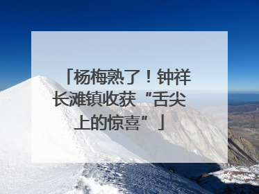 杨梅熟了！钟祥长滩镇收获“舌尖上的惊喜”