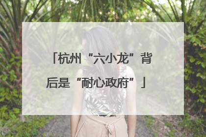 杭州“六小龙”背后是“耐心政府”