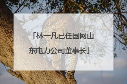 林一凡已任国网山东电力公司董事长