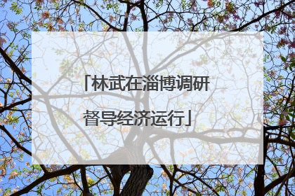 林武在淄博调研督导经济运行