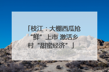 枝江：大棚西瓜抢“鲜”上市 激活乡村“甜蜜经济”