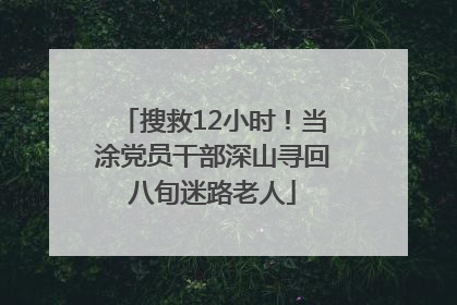 搜救12小时！当涂党员干部深山寻回八旬迷路老人