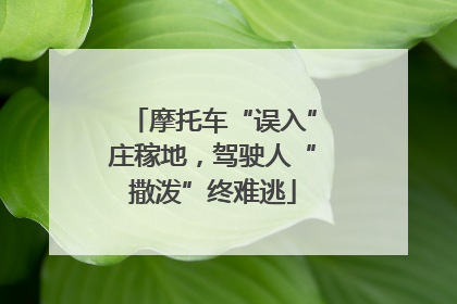 摩托车“误入”庄稼地，驾驶人“撒泼”终难逃