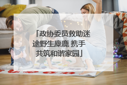 政协委员救助迷途野生麋鹿 携手共筑和谐家园