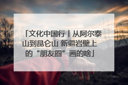 文化中国行丨从阿尔泰山到昆仑山 新疆岩壁上的“朋友圈”画的啥