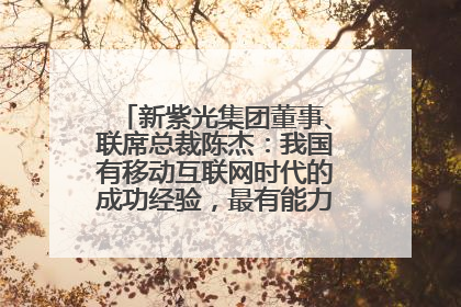 新紫光集团董事、联席总裁陈杰：我国有移动互联网时代的成功经验，最有能力做好AI应用创新