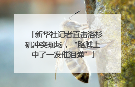 新华社记者直击洛杉矶冲突现场，“胳膊上中了一发催泪弹”
