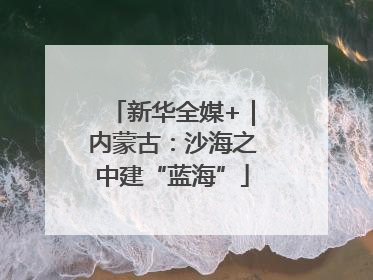 新华全媒+｜内蒙古：沙海之中建“蓝海”