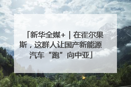 新华全媒+｜在霍尔果斯，这群人让国产新能源汽车“跑”向中亚