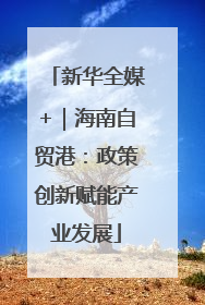 新华全媒+｜海南自贸港：政策创新赋能产业发展