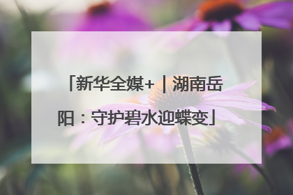 新华全媒+｜湖南岳阳：守护碧水迎蝶变
