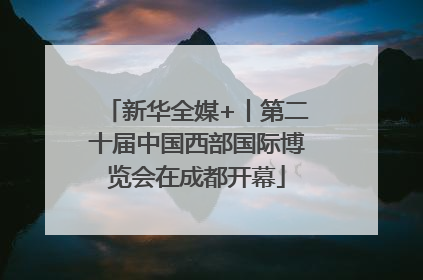新华全媒+丨第二十届中国西部国际博览会在成都开幕