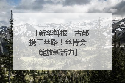 新华鲜报｜古都携手丝路！丝博会绽放新活力