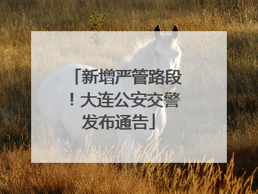 新增严管路段！大连公安交警发布通告