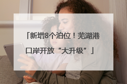 新增8个泊位！芜湖港口岸开放“大升级”
