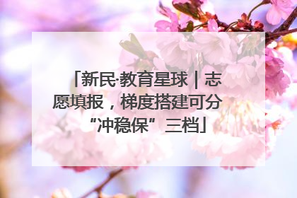 新民·教育星球｜志愿填报，梯度搭建可分“冲稳保”三档
