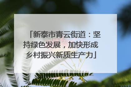 新泰市青云街道：坚持绿色发展，加快形成乡村振兴新质生产力