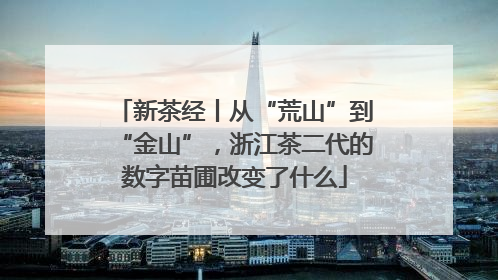 新茶经丨从“荒山”到“金山”，浙江茶二代的数字苗圃改变了什么