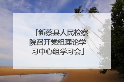 新蔡县人民检察院召开党组理论学习中心组学习会
