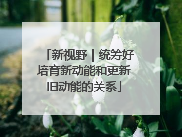 新视野｜统筹好培育新动能和更新旧动能的关系