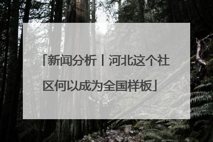新闻分析丨河北这个社区何以成为全国样板