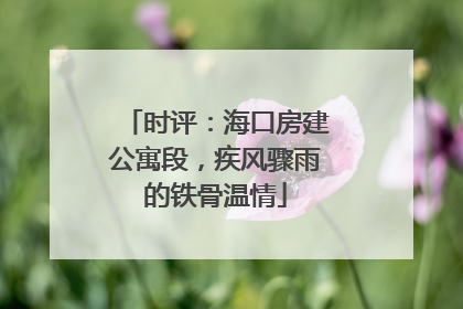 时评：海口房建公寓段，疾风骤雨的铁骨温情
