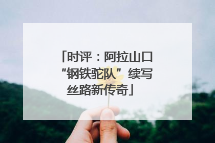 时评：阿拉山口“钢铁驼队”续写丝路新传奇