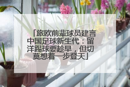 旅欧前辈球员建言中国足球新生代：留洋踢球要趁早，但切莫想着一步登天