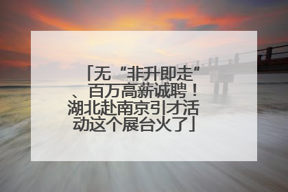 无“非升即走”、百万高薪诚聘！湖北赴南京引才活动这个展台火了