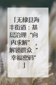 无棣县海丰街道：基层治理“向内求解”，解锁群众“幸福密码”