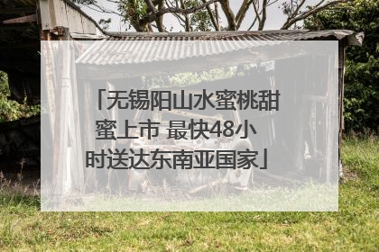 无锡阳山水蜜桃甜蜜上市 最快48小时送达东南亚国家