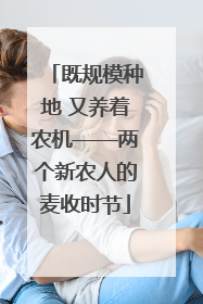 既规模种地 又养着农机——两个新农人的麦收时节