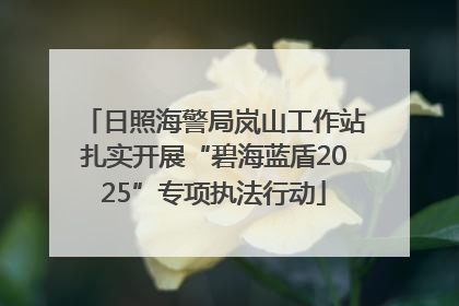 日照海警局岚山工作站扎实开展“碧海蓝盾2025”专项执法行动
