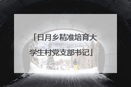 日月乡精准培育大学生村党支部书记