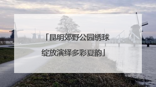 昆明郊野公园绣球绽放演绎多彩夏韵