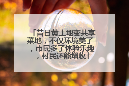昔日黄土地变共享菜地，不仅环境美了，市民多了体验乐趣，村民还能增收