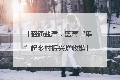 昭通盐津：蓝莓“串”起乡村振兴增收链
