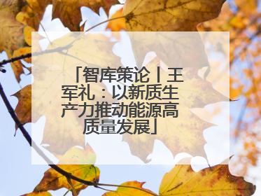 智库策论丨王军礼：以新质生产力推动能源高质量发展