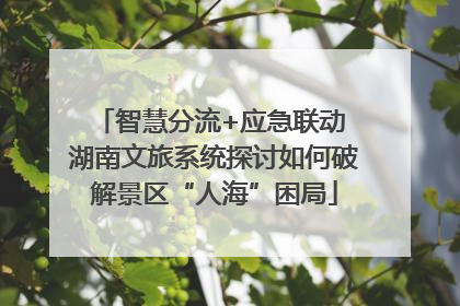 智慧分流+应急联动 湖南文旅系统探讨如何破解景区“人海”困局