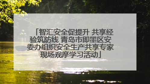 智汇安全促提升 共享经验筑防线 青岛市即墨区安委办组织安全生产共享专家现场观摩学习活动