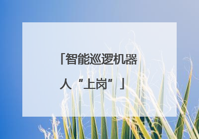 智能巡逻机器人“上岗”