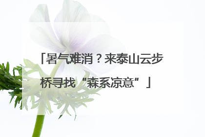 暑气难消？来泰山云步桥寻找“森系凉意”